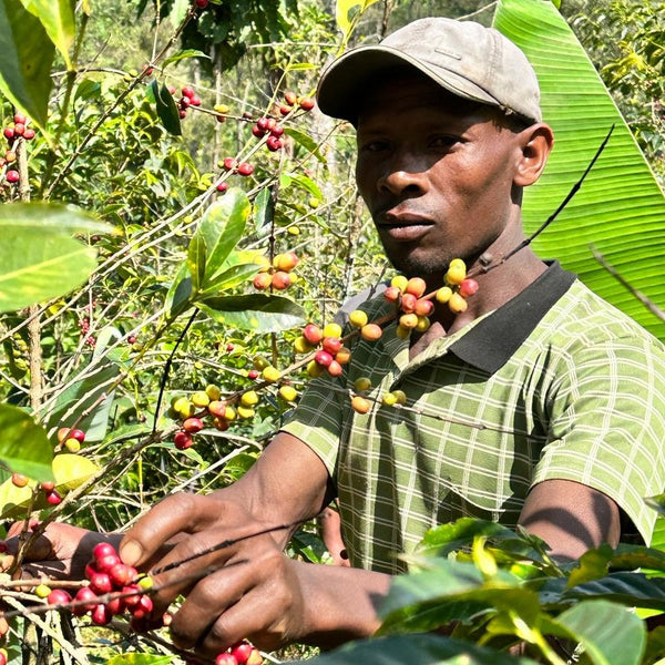 1_a6ffe755-0df2-4b7b-bdac-