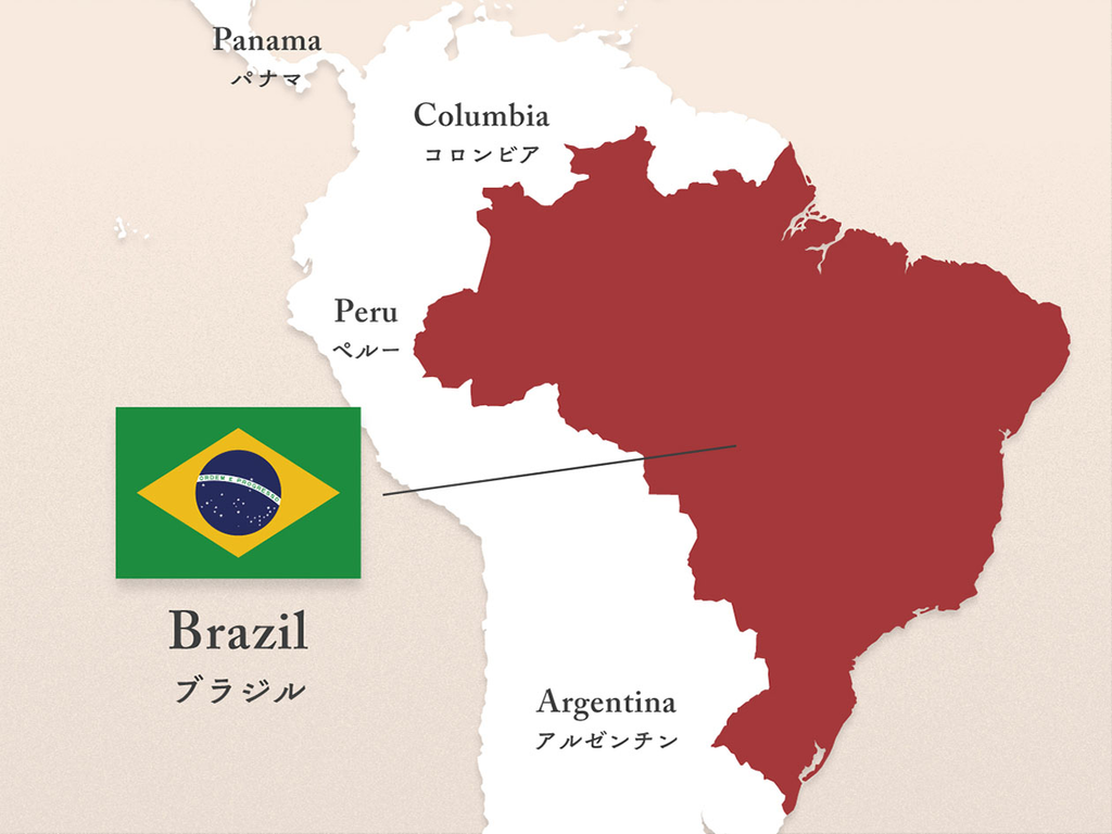 Brazil／ブラジル